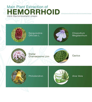 Herbal Hemorrhoids (Piles) Cream
